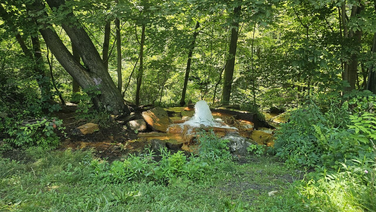 The Big Mine Run geyser in July 2025. The water comes up from about 300 feet down, in a colliery that closed in 1934.
