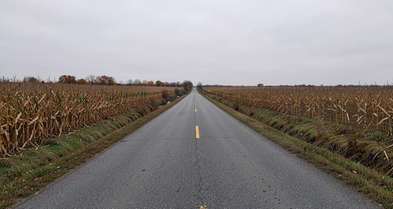 A straight rural road through flat farmland and late-autumn corn stubble, gray overcast sky. Not the terrain that usually files cryptid paperwork.