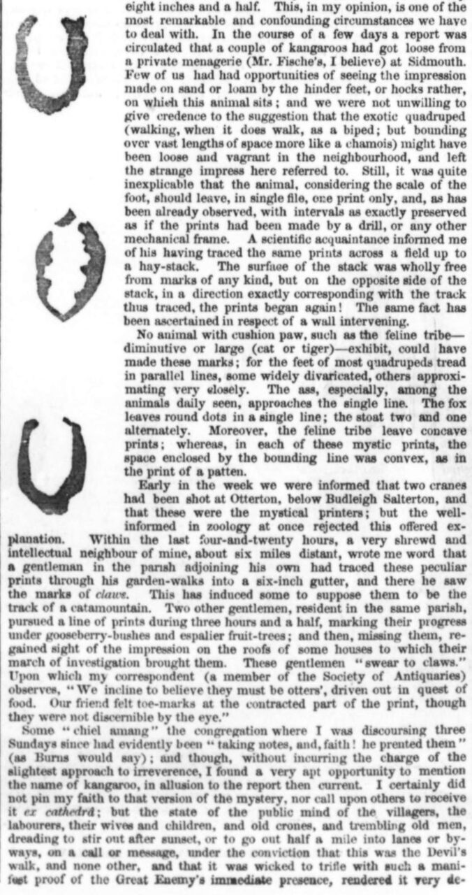 Musgrave's letter to the Illustrated London News, March 1855.
