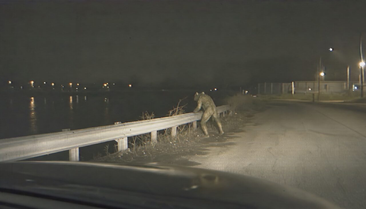A hunched figure moving along the guardrail toward the dark riverbank, silhouetted from behind by the cruiser's headlights.