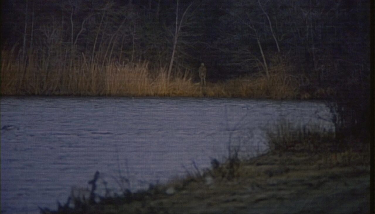 Lake Isabella at dusk: an upright shape at the far tree line, half in the brush, exactly as clear as such photographs ever are.