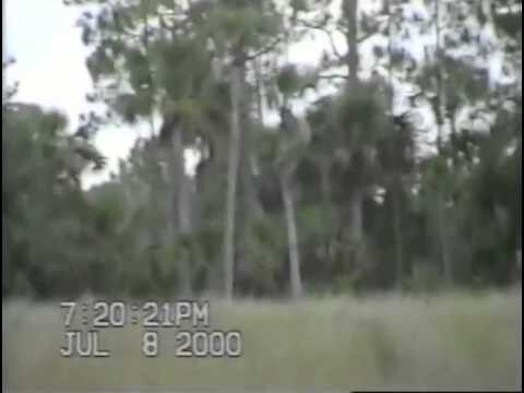 A frame from Shealy's July 2000 video. The camcorder's own date imprint is original to the recording.
