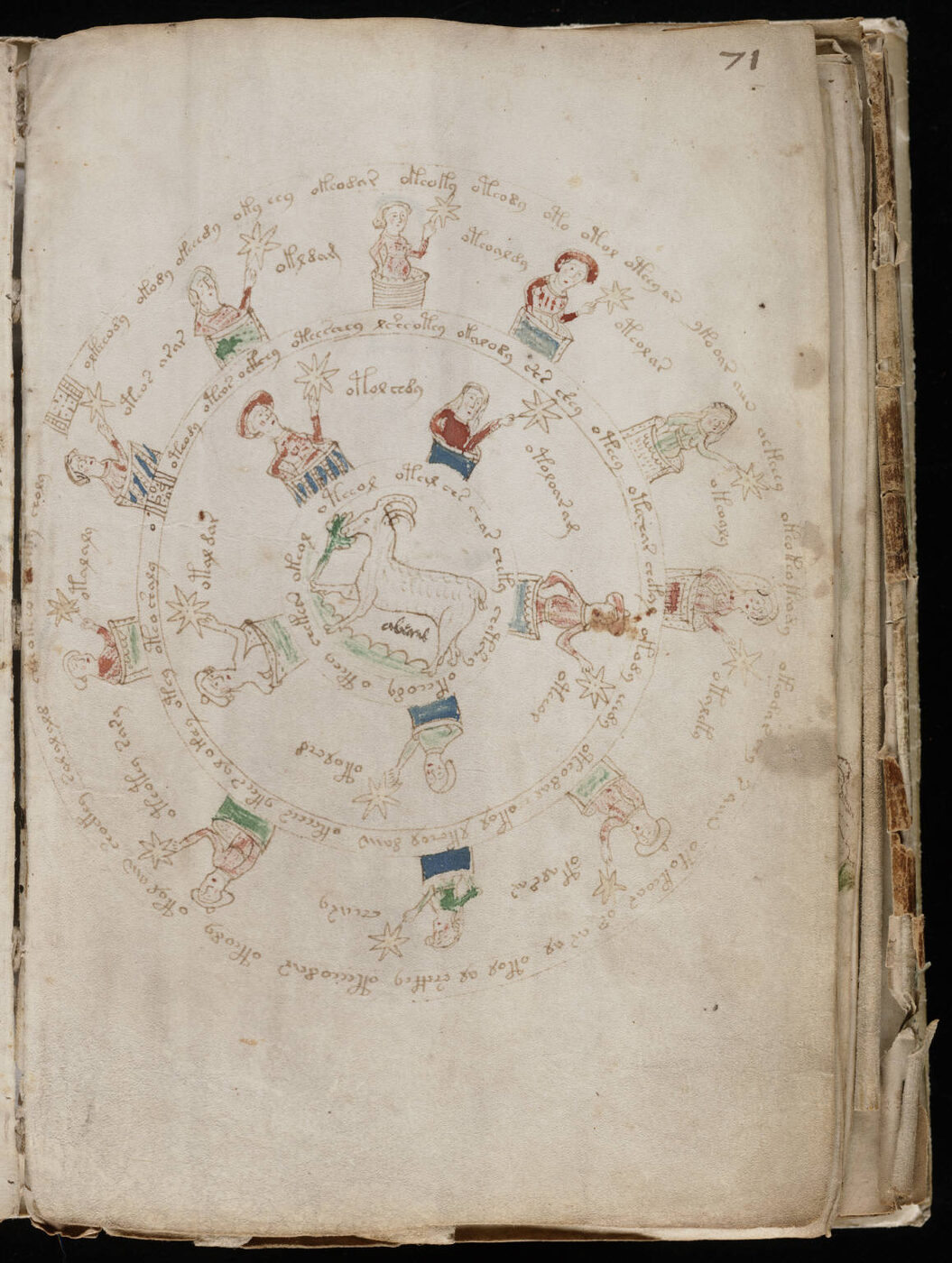 An astronomical diagram — suns, moons and stars in tidy circles, matching no sky that was ever overhead.